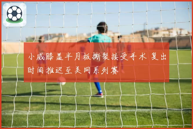 小威膝盖半月板撕裂接受手术 复出时间推迟至美网系列赛