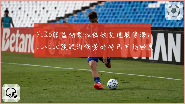 NiKo膝盖韧带拉伤恢复进展停滞，device腹股沟伤势好转已开始轻度射击训练