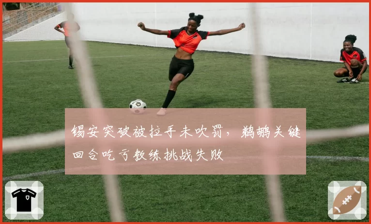 锡安突破被拉手未吹罚，鹈鹕关键回合吃亏教练挑战失败