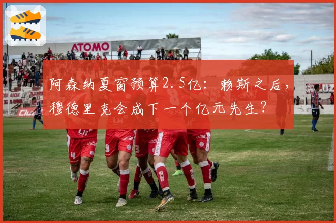 阿森纳夏窗预算2.5亿:赖斯之后,穆德里克会成下一个亿元先生?