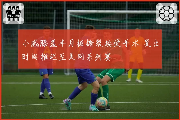 小威膝盖半月板撕裂接受手术 复出时间推迟至美网系列赛