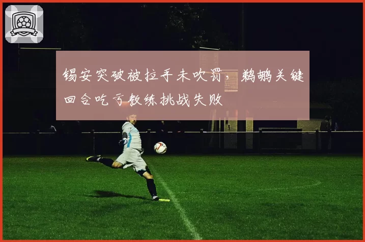 锡安突破被拉手未吹罚,鹈鹕关键回合吃亏教练挑战失败